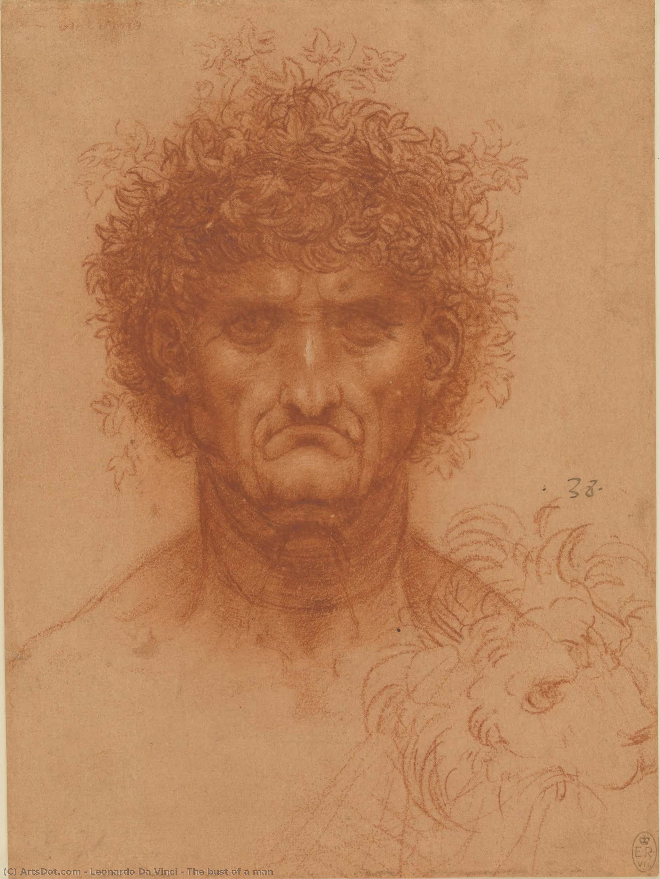 The Bust Of A Man — Leonardo Da Vinci