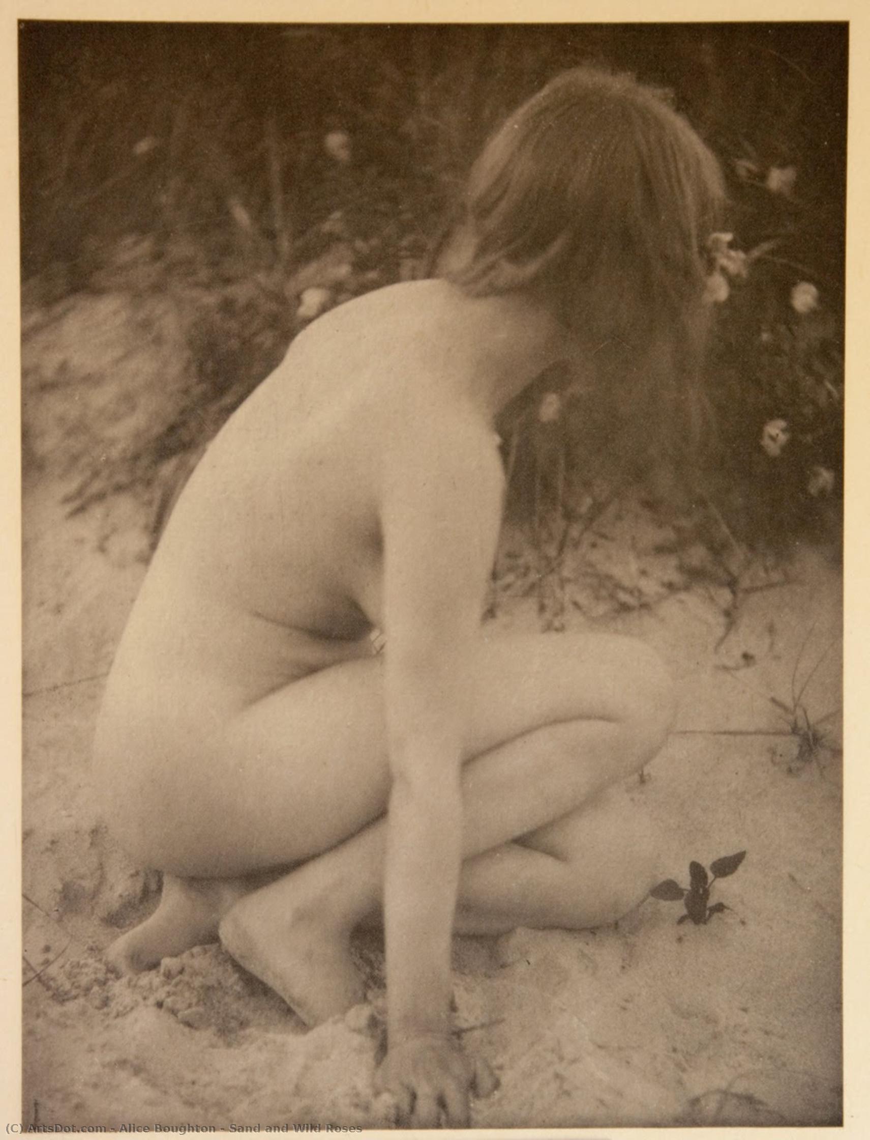Sand And Wild Roses — Alice Boughton