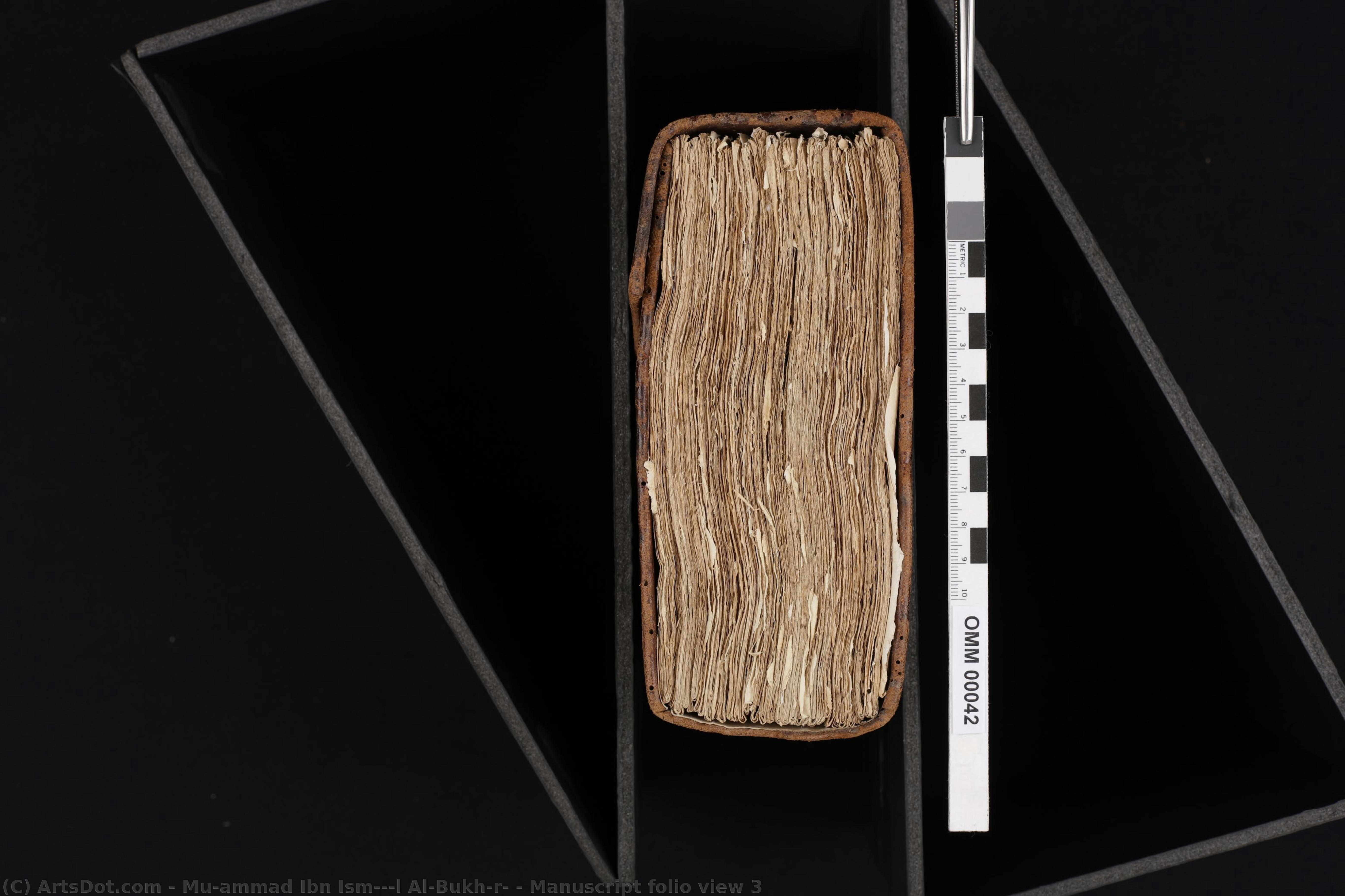 Manuscript Folio View 3 — Muḥammad Ibn Ismā‘īl Al-bukhārī