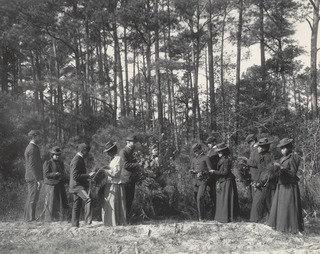 Agriculture Study Of Plants Or A Plant Society — Frances Benjamin Johnston