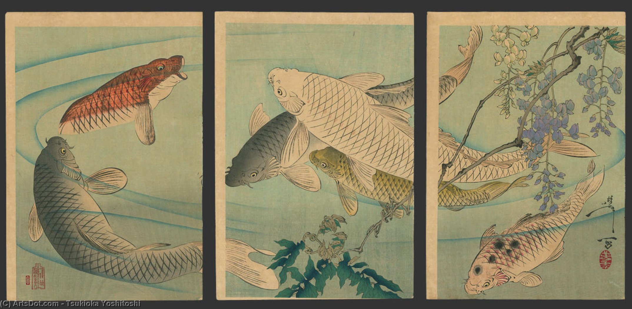 Koi Swimming Beneath Wisteria — Tsukioka Yoshitoshi