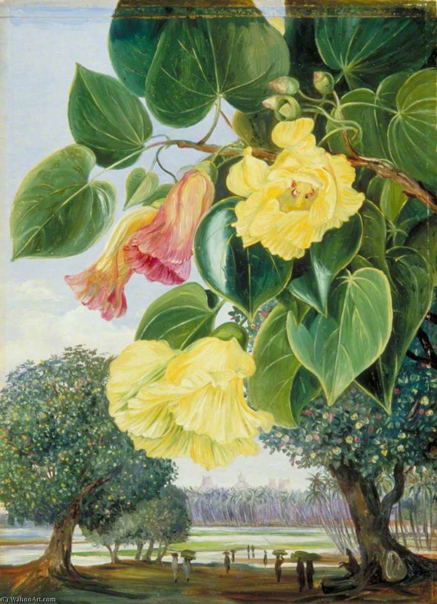 Foliage And Flowers Of The Suriya Or Portia The Pagodas Of Madura In The Distance — Marijana Nort