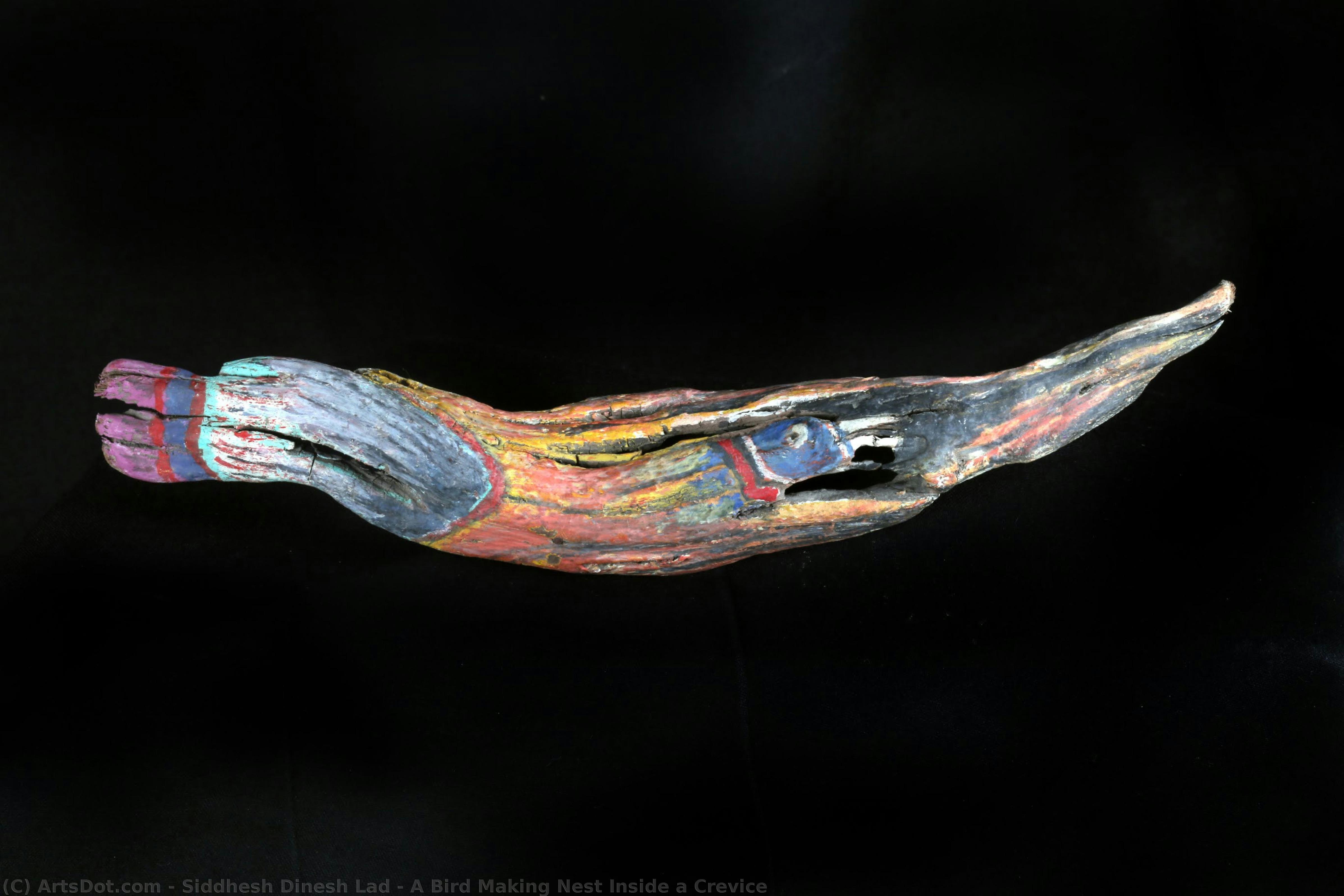 A Bird Making Nest Inside A Crevice — Siddhesh Dinesh Lad