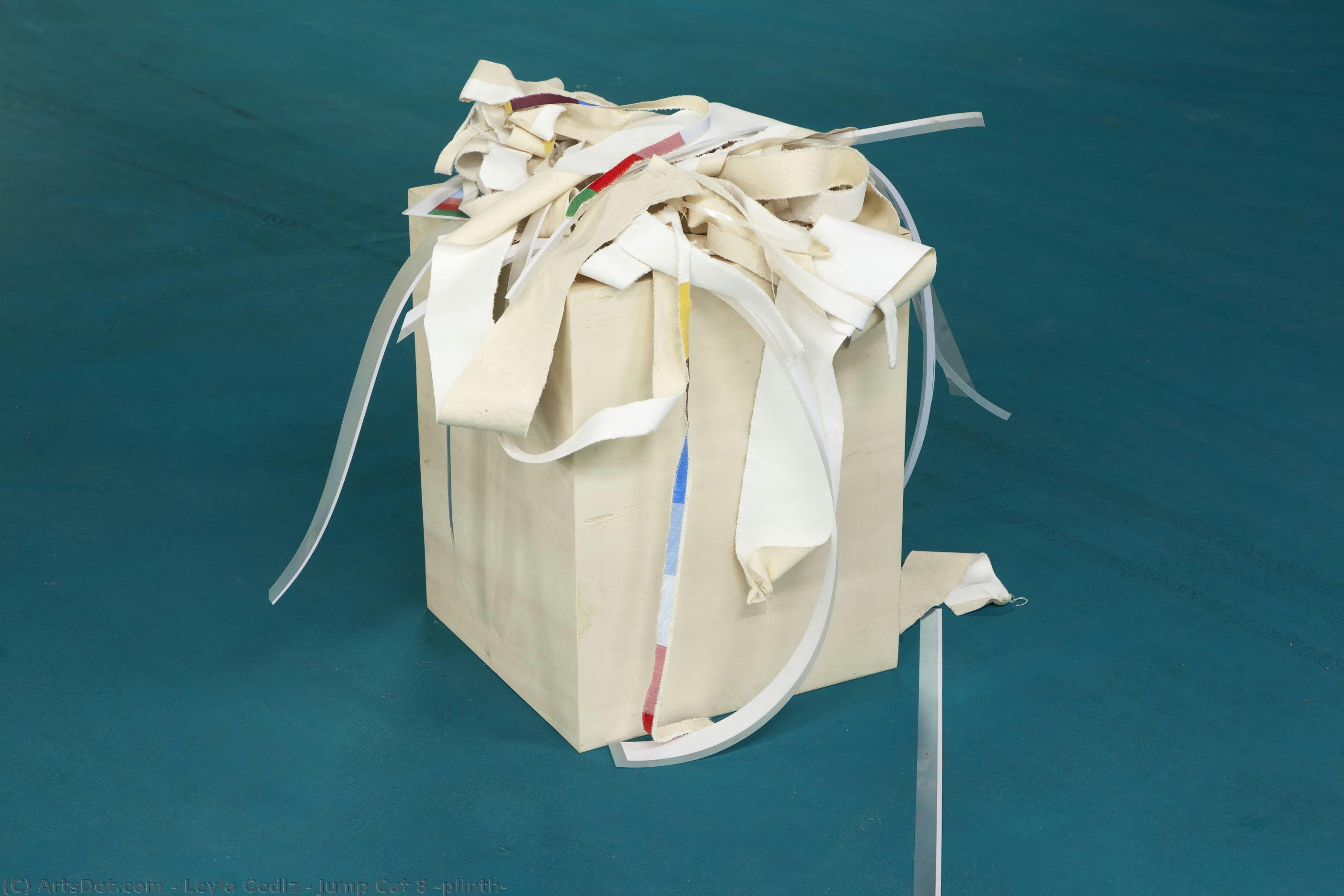 Jump Cut 8 (plinth) — Leyla Gediz