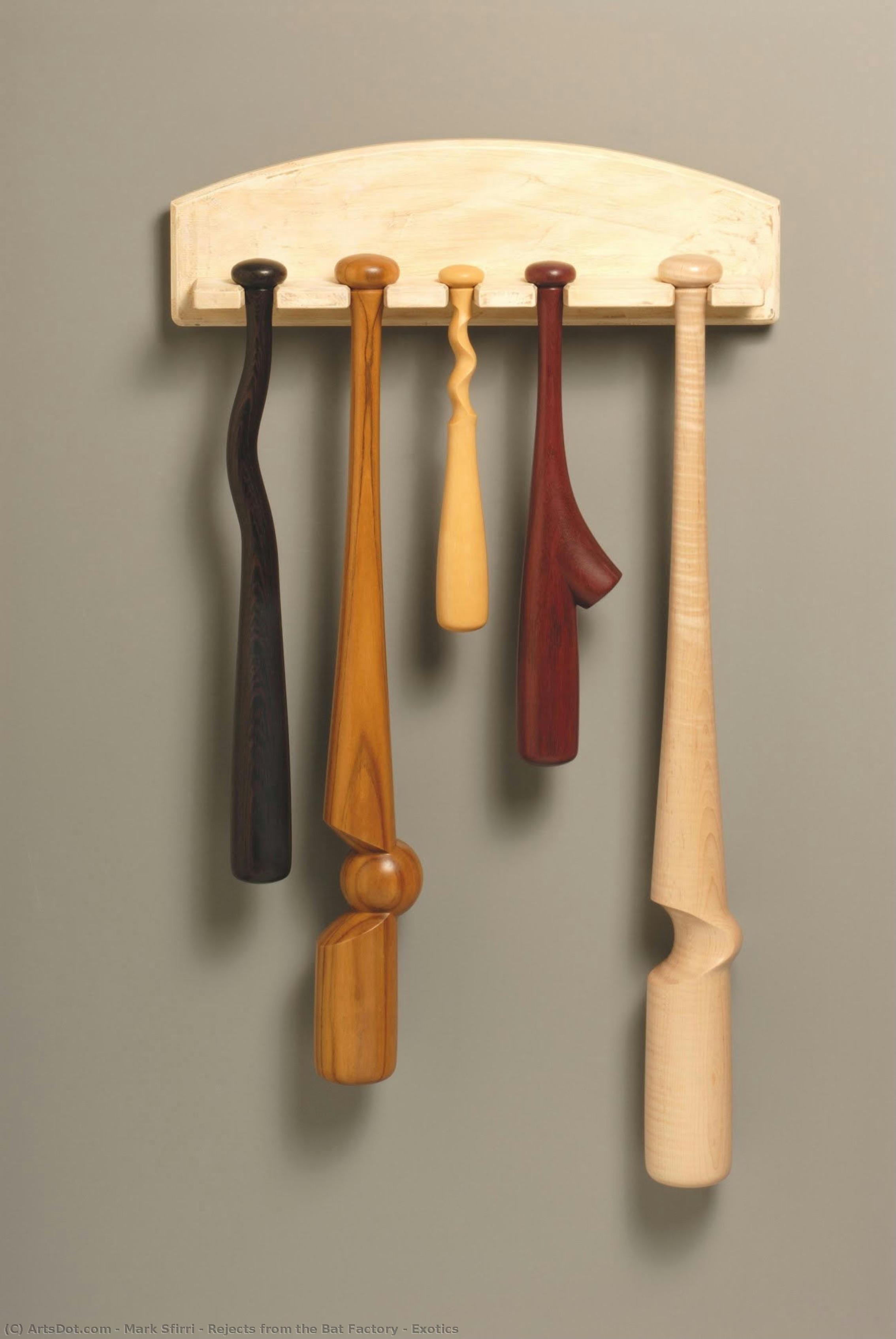 Rejects From The Bat Factory - Exotics — Mark Sfirri