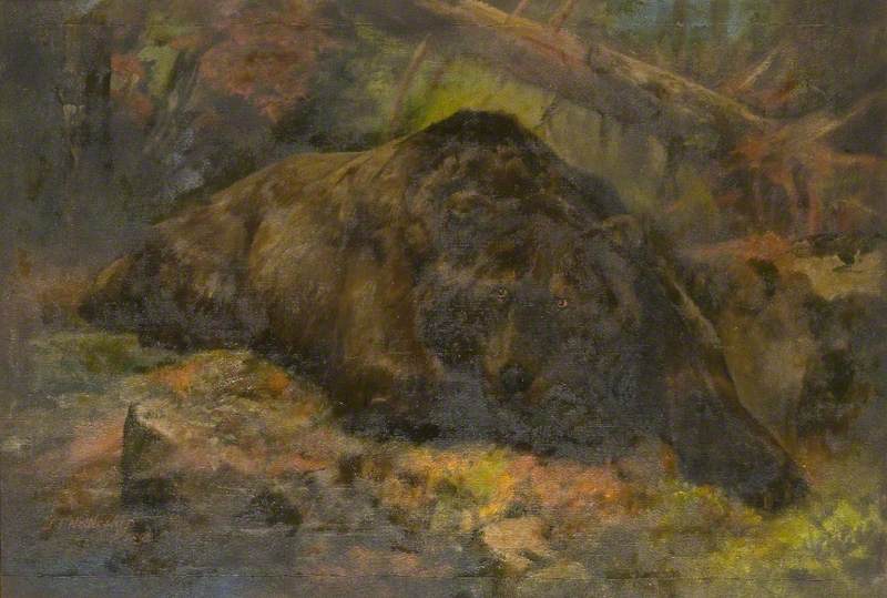 Ruminating (brown Bear) — John Trivett Nettleship