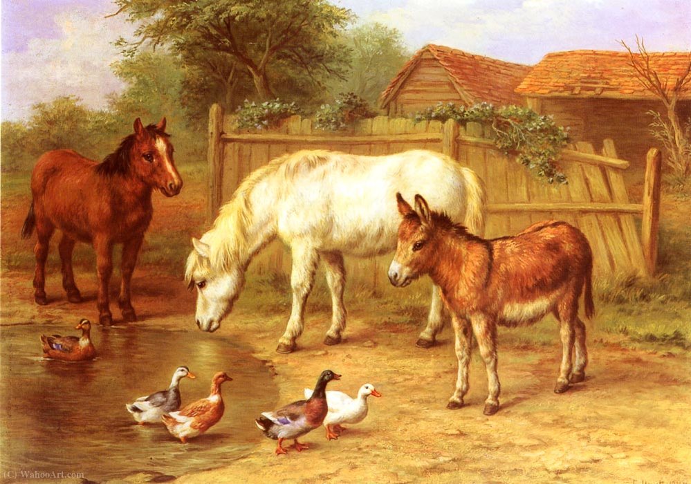 Ponies, Donky And Ducks In A Farmyard — Edgar Hunt