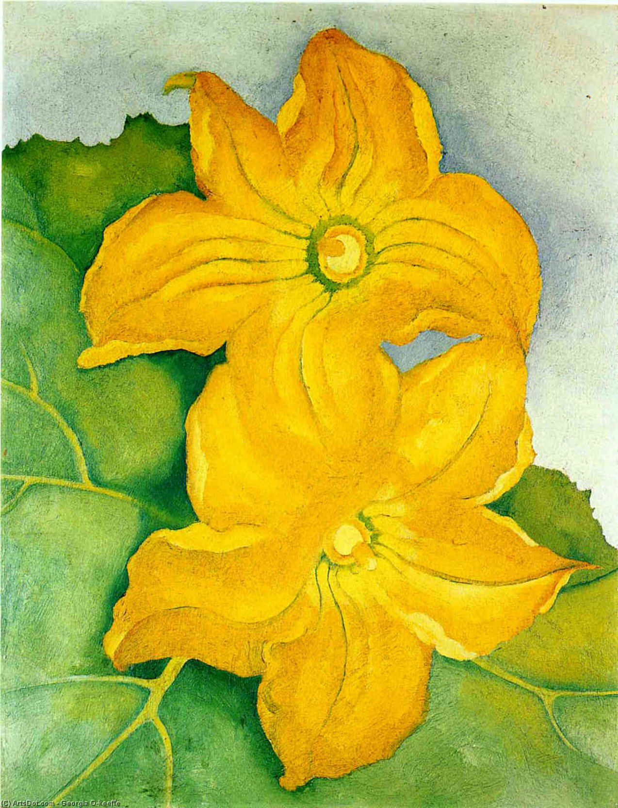 Squash Blossoms I — Јордана О’кеифе