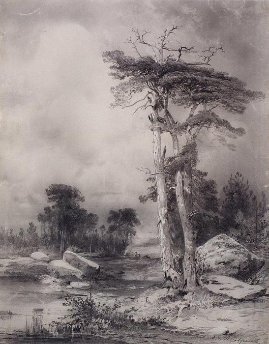 Old Pine — Aleksey Savrasov