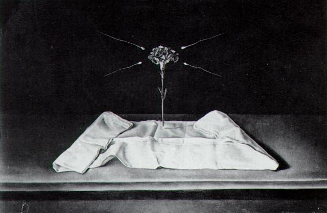 Mystical Carnation — Salvador Dalí