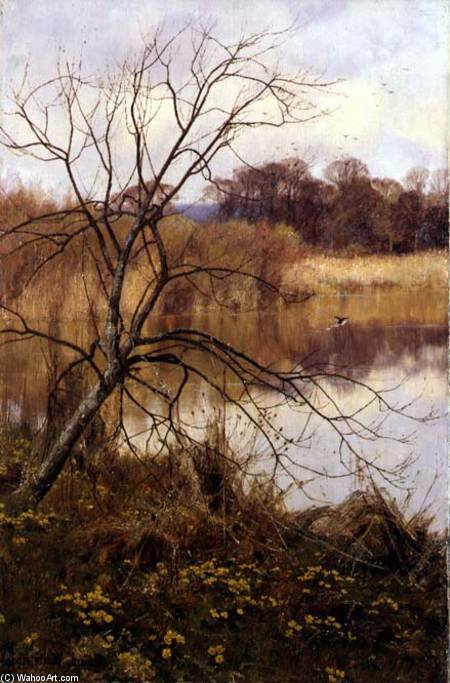 Marsh Marigolds, Paddington Pond — Edward Wilkins Waite