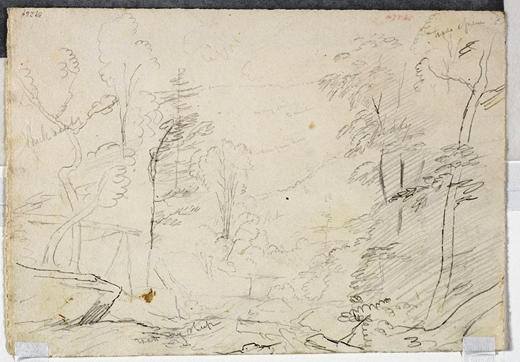 Road Through A Wood — Томас Коул