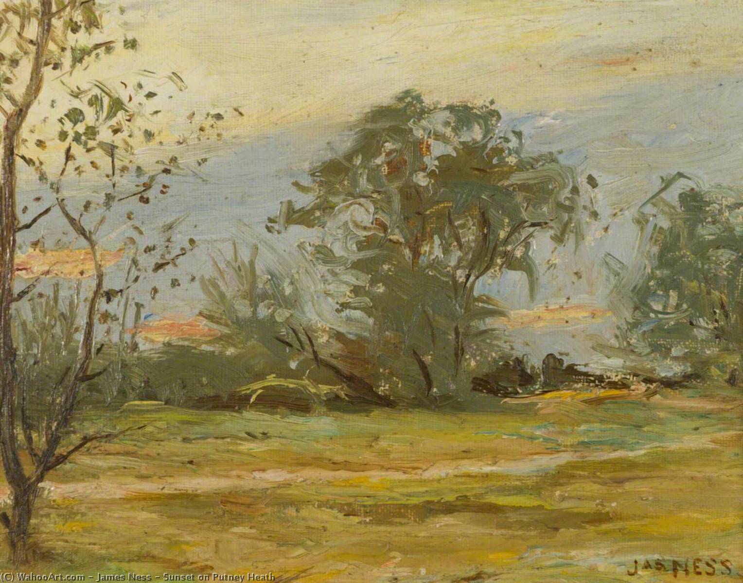 Sunset On Putney Heath — James Ness