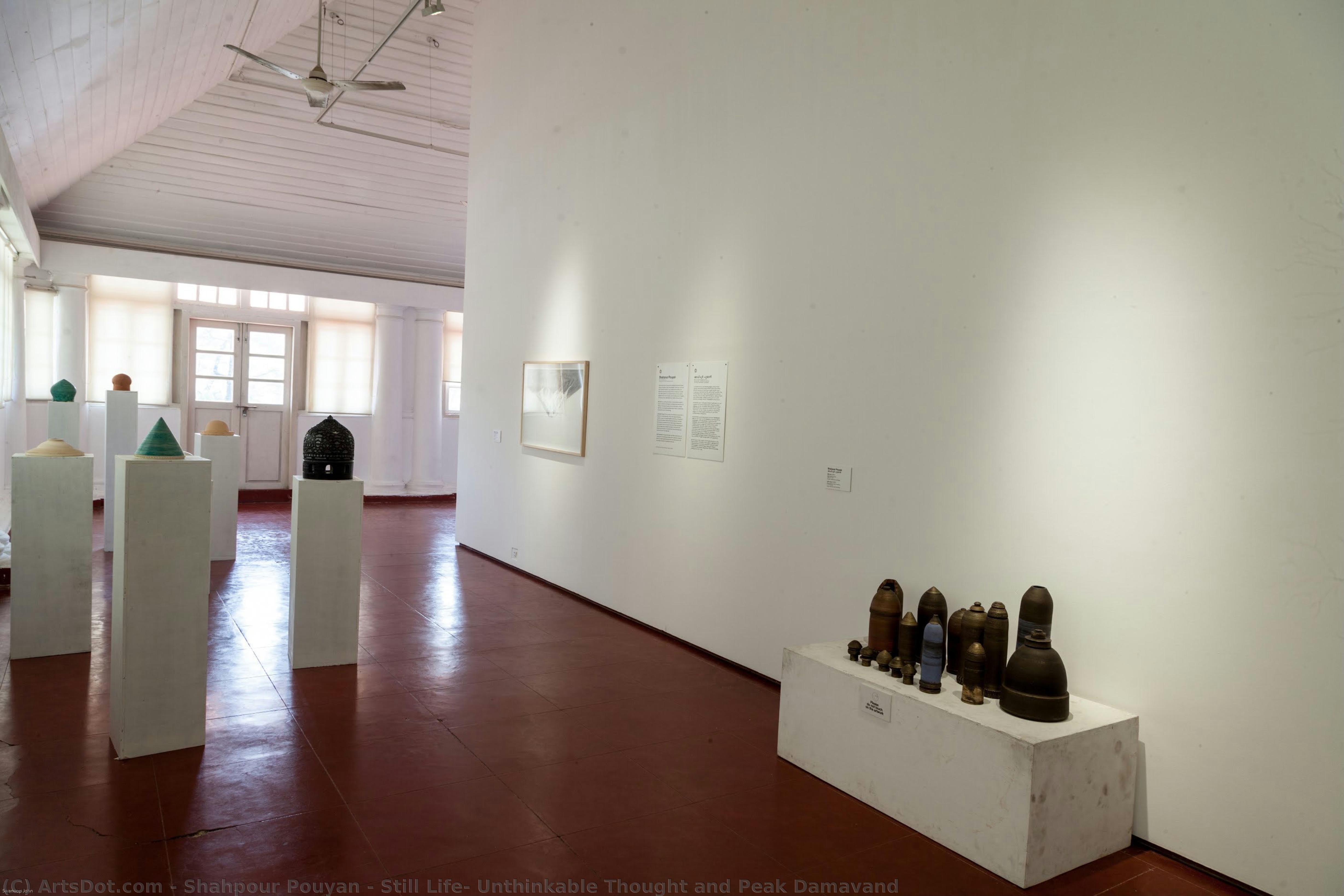 Still Life, Unthinkable Thought And Peak Damavand — Shahpour Pouyan