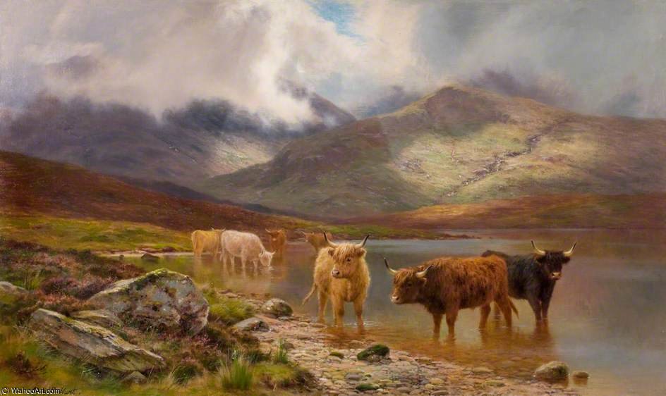 Highland Cattle — Louis Bosworth Hurt