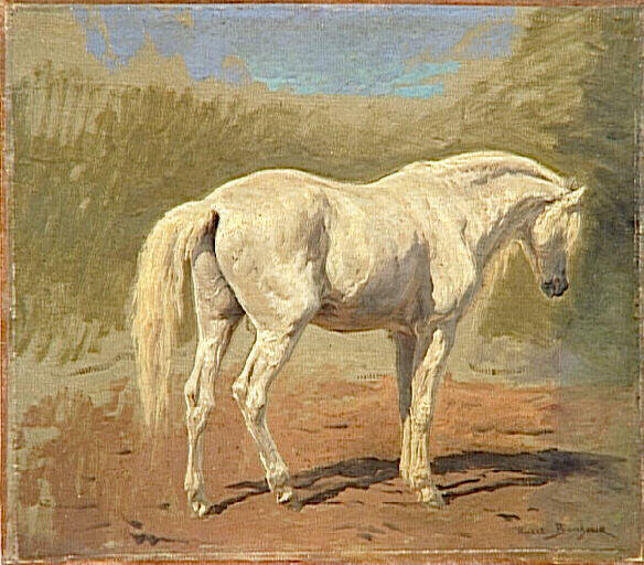 Etude De Cheval Blanc — Bonheur Marie Rosalie