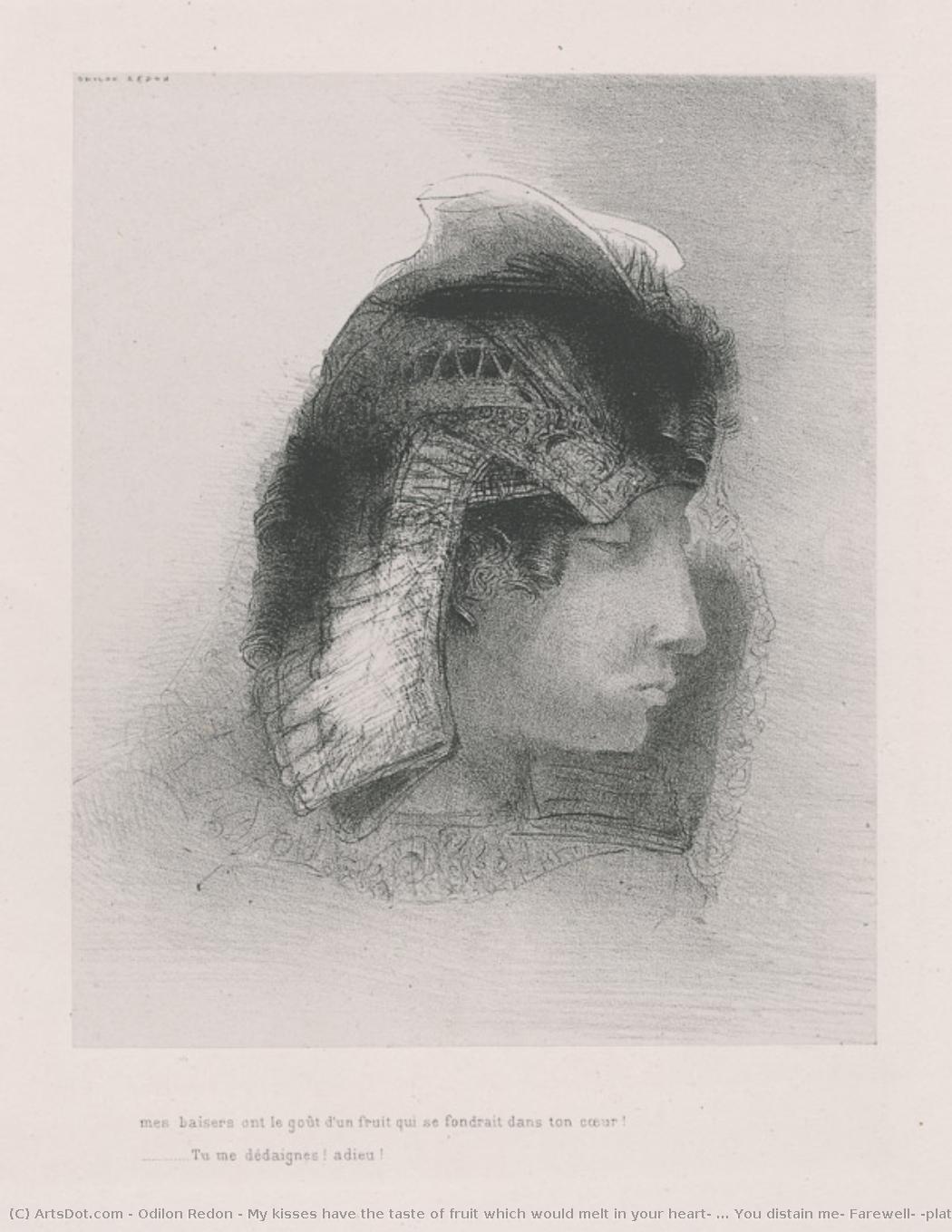 My Kisses Have The Taste Of Fruit Which Would Melt In Your Heart! ... You Distain Me! Farewell! (plate 4) — Odilon Redon