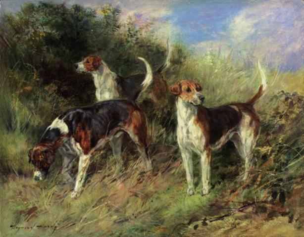 Dandy, Nigel And Sapphire; North Shropshire Foxhounds — Хејвуд Харди