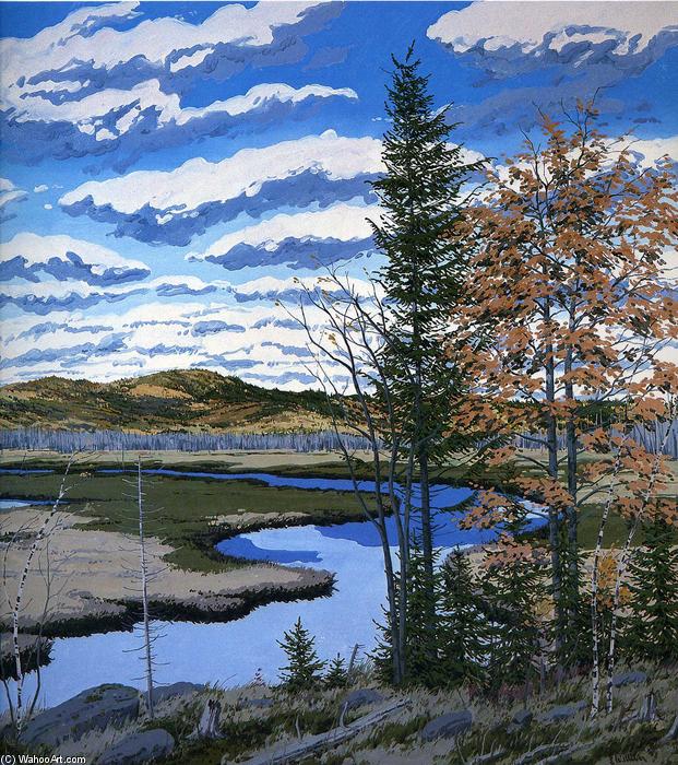 Shadow On Brigg's Meadow — Neil Gavin Welliver