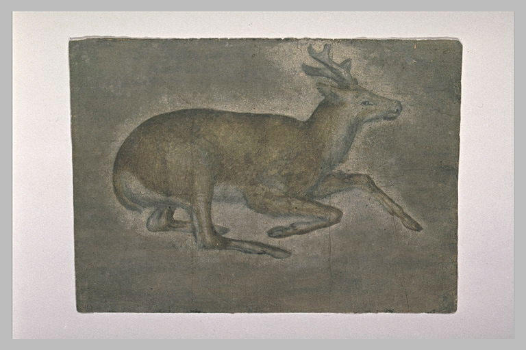Sketch Of Young Deer — Jacopo Bellini