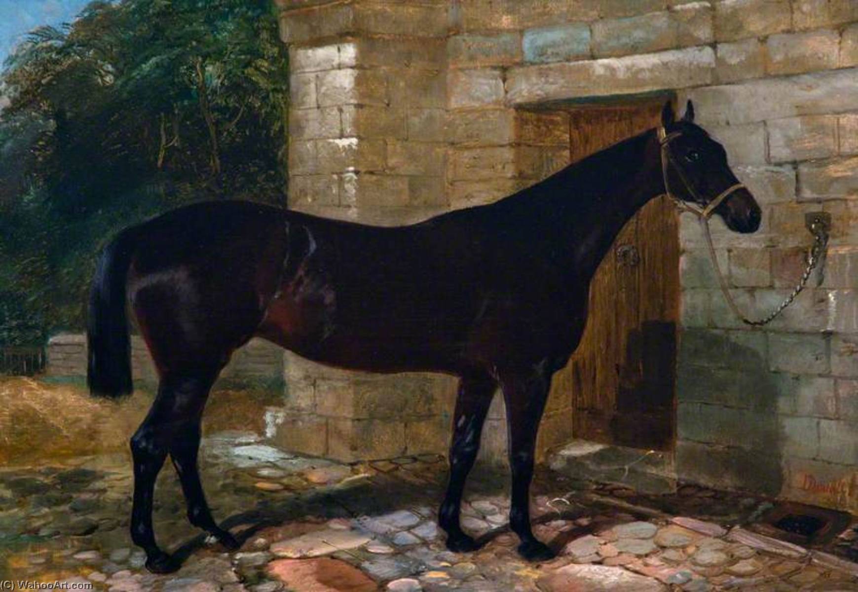 'mona' — John Duvall