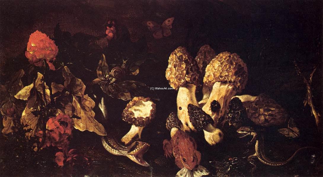 Still-life With Fungi — Paolo Porpora