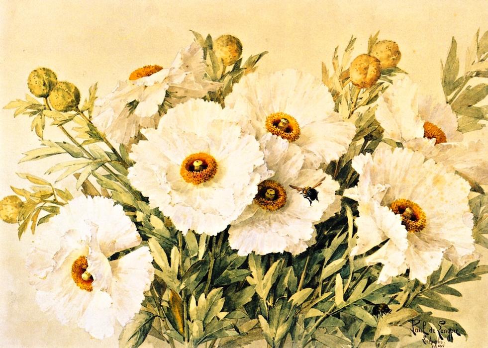 Matilija Poppies — Raoul De Longpre