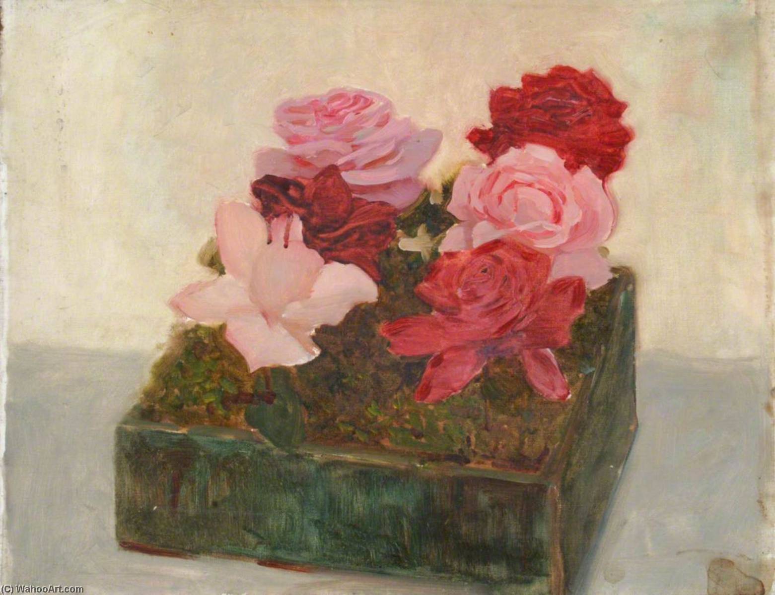 Pot Of Roses — Benjamin Haughton