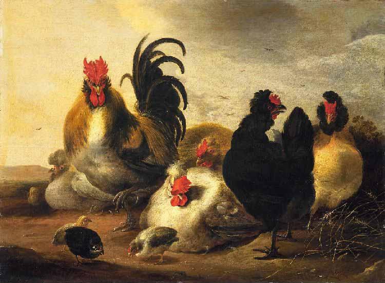 A Rooster And Chickens — Аэлберт Якобсз Кёйп