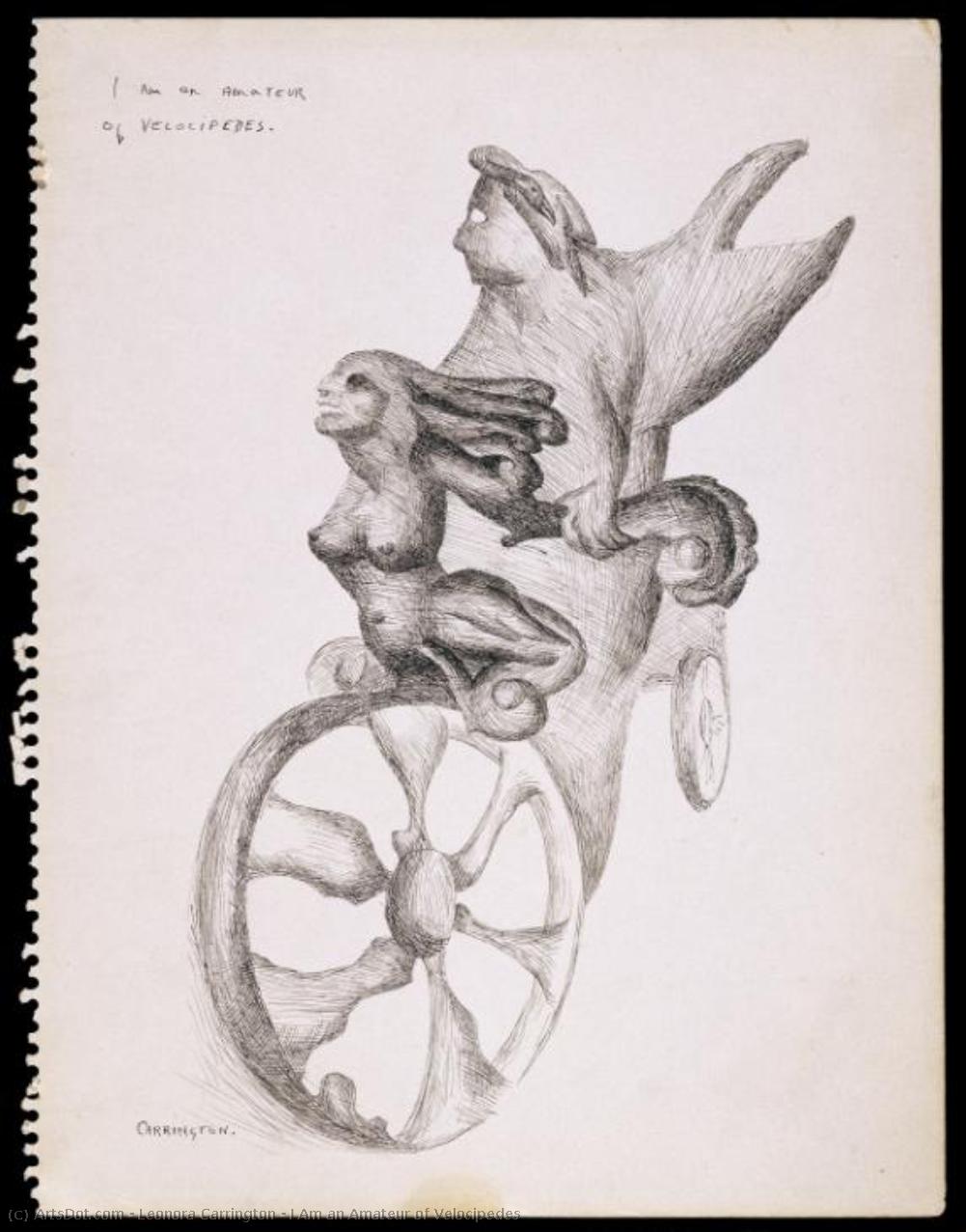 I Am An Amateur Of Velocipedes — Leonora Carrington
