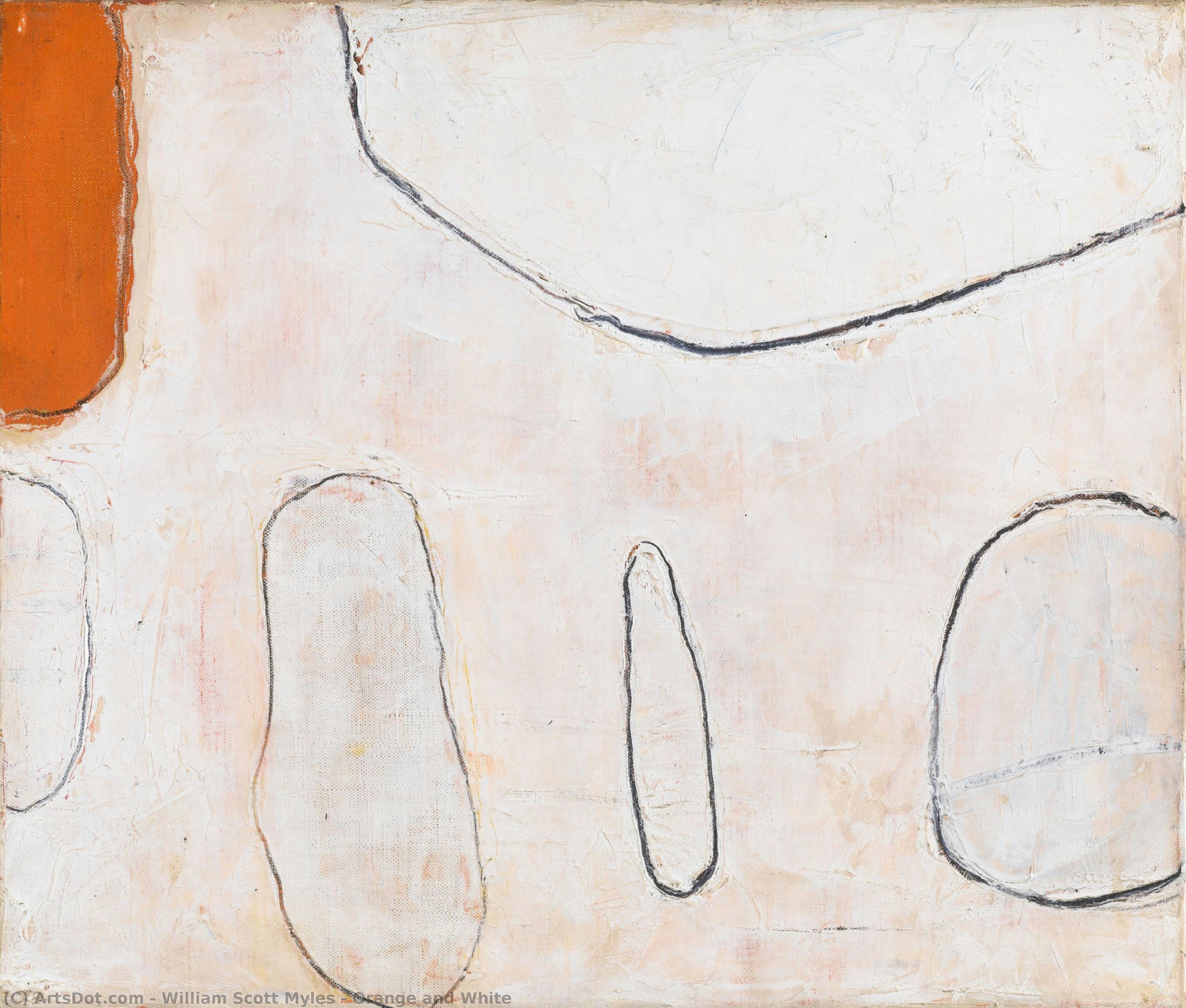 Orange And White — William Scott Myles