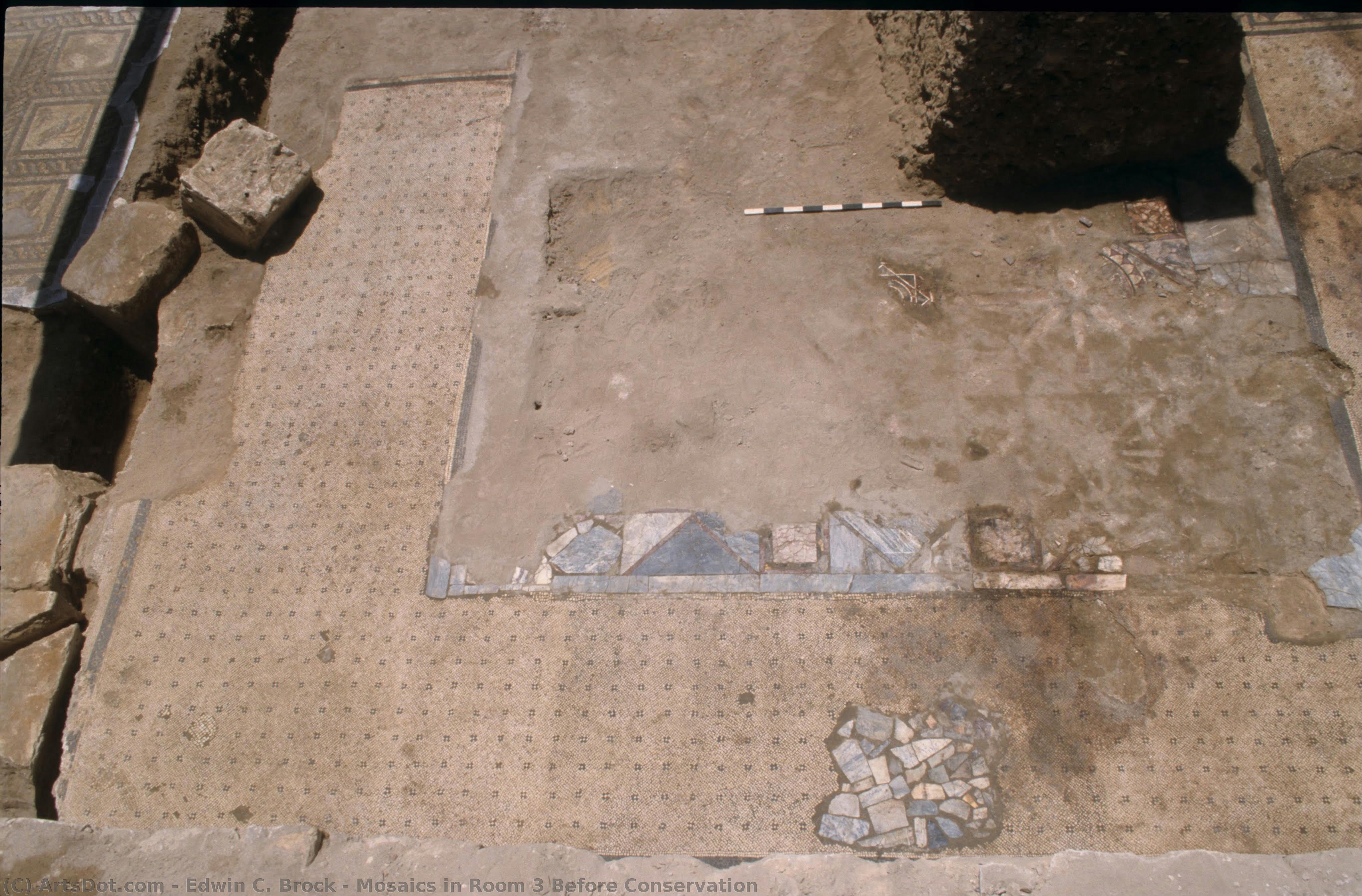 Mosaics In Room 3 Before Conservation — Edwin C. Brock