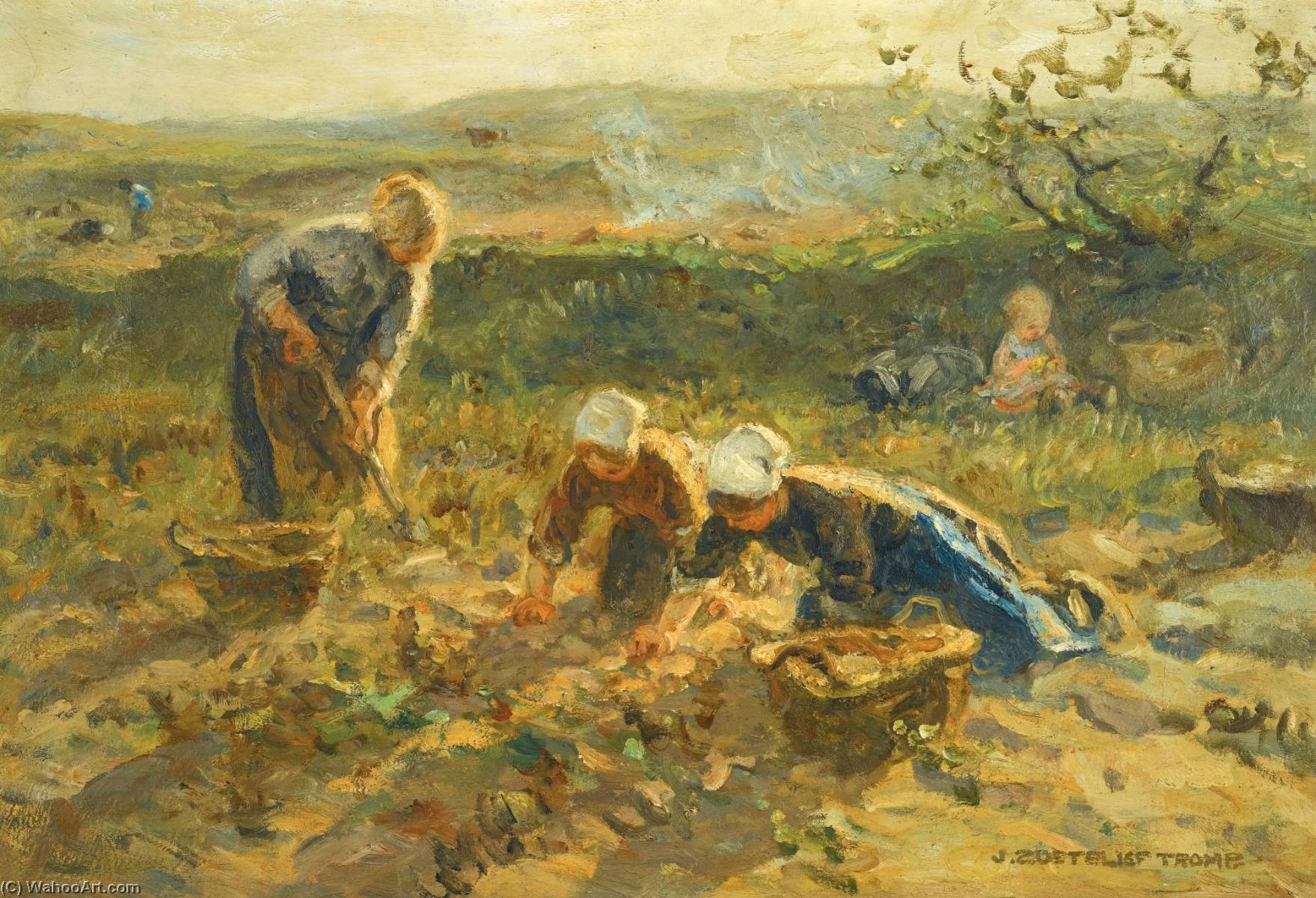 Potato Harvest — Ян Зоотелив Тромп