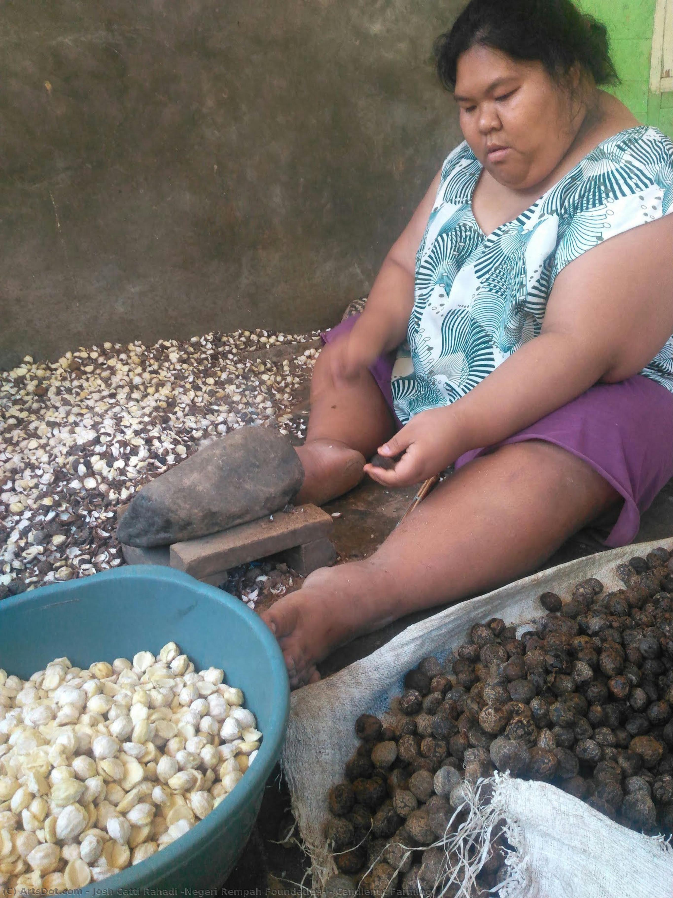 Candlenut Farming — Josh Catti Rahadi (negeri Rempah Foundation)