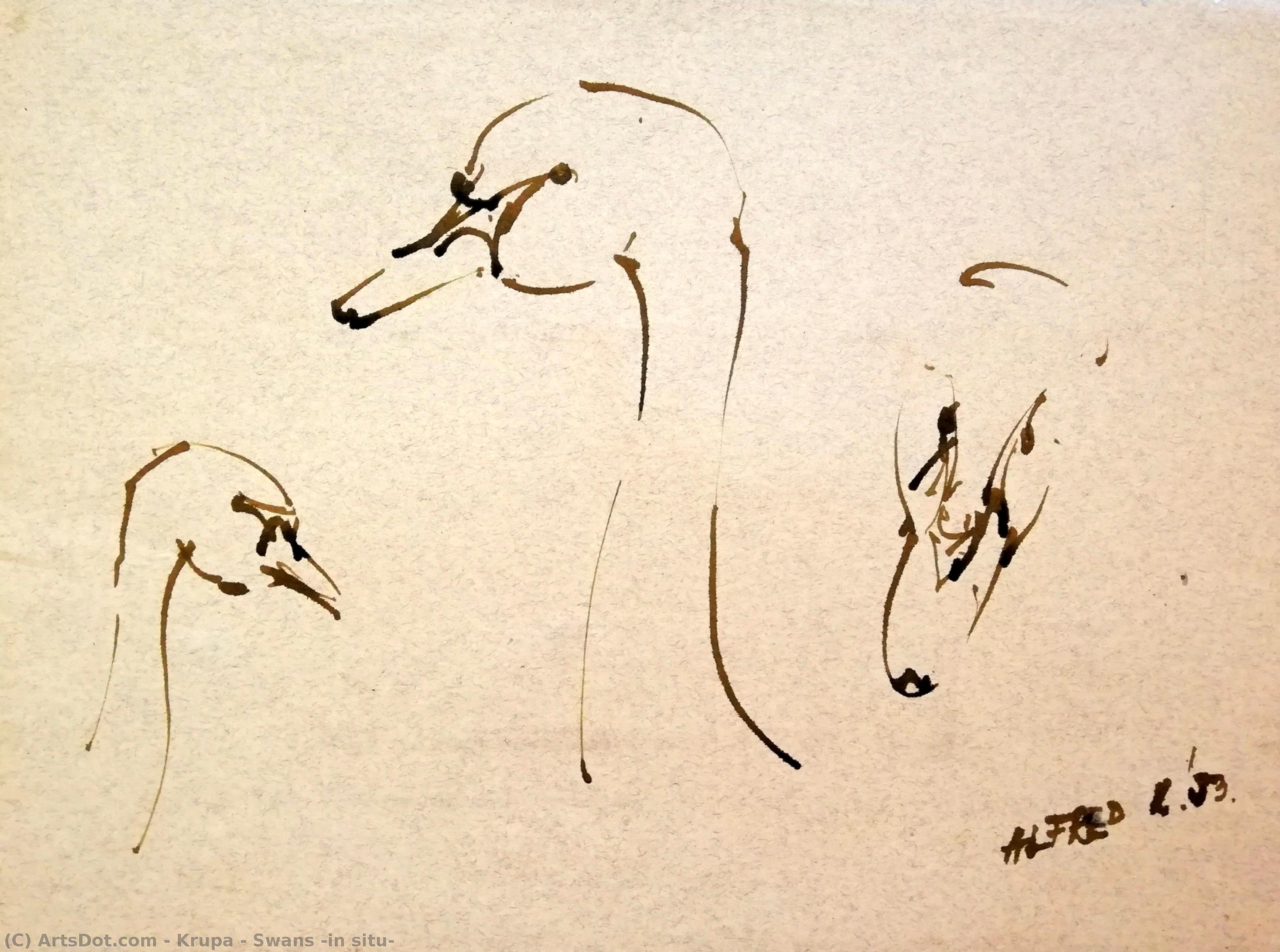 Swans (in Situ) — Alfred Freddy Krupa