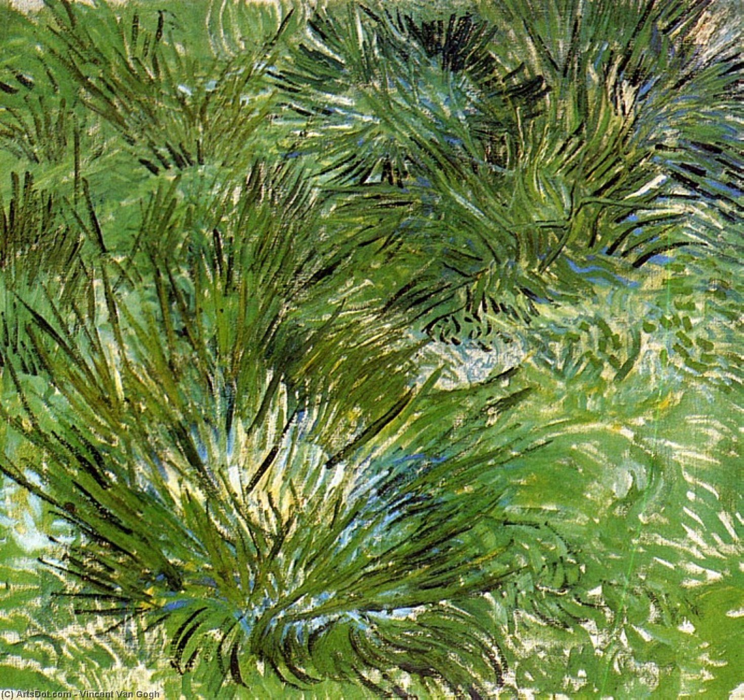 Clumps Of Grass — Vincent Willem Van Gogh