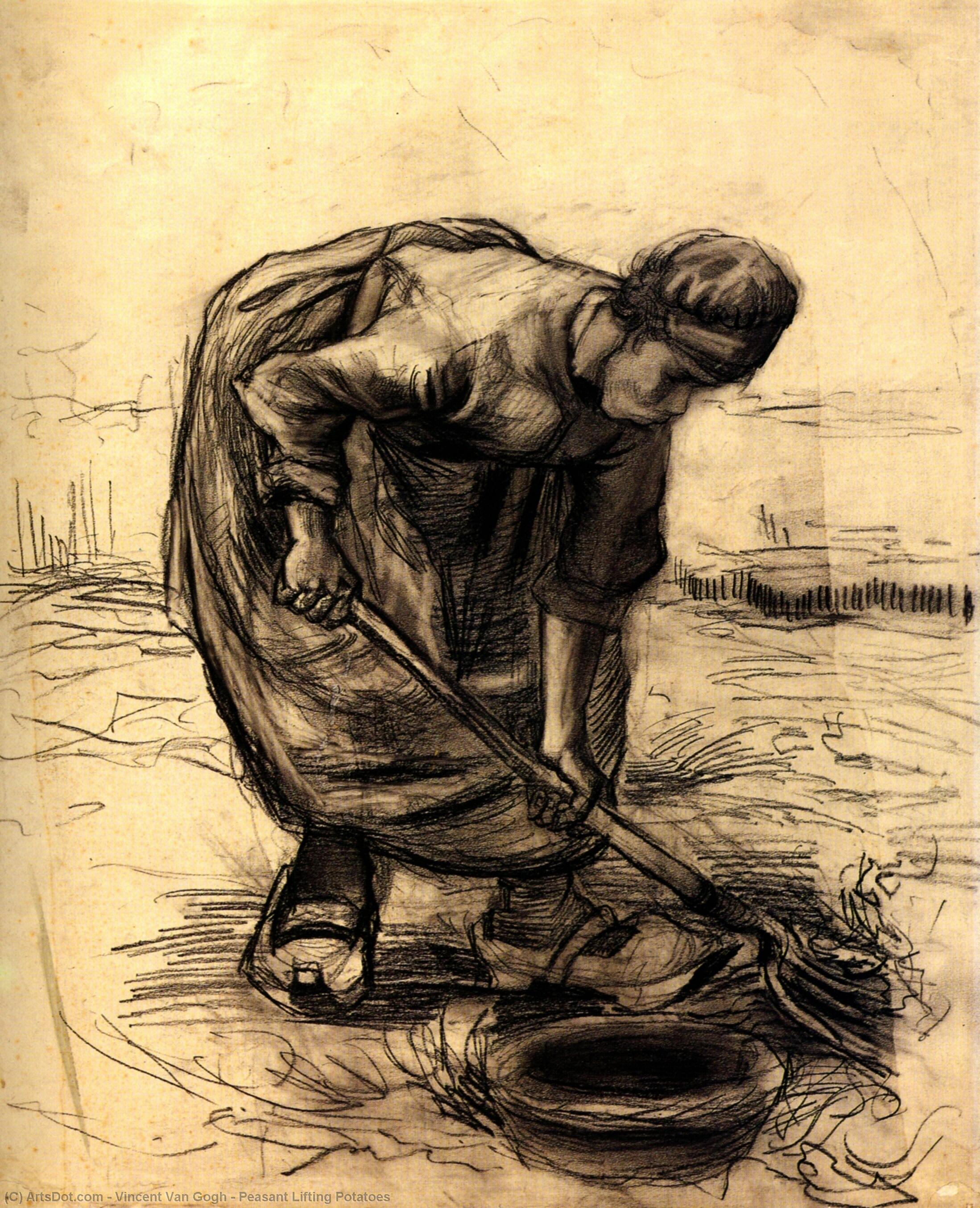 Bauer Hebt Kartoffeln — Vincent Willem Van Gogh