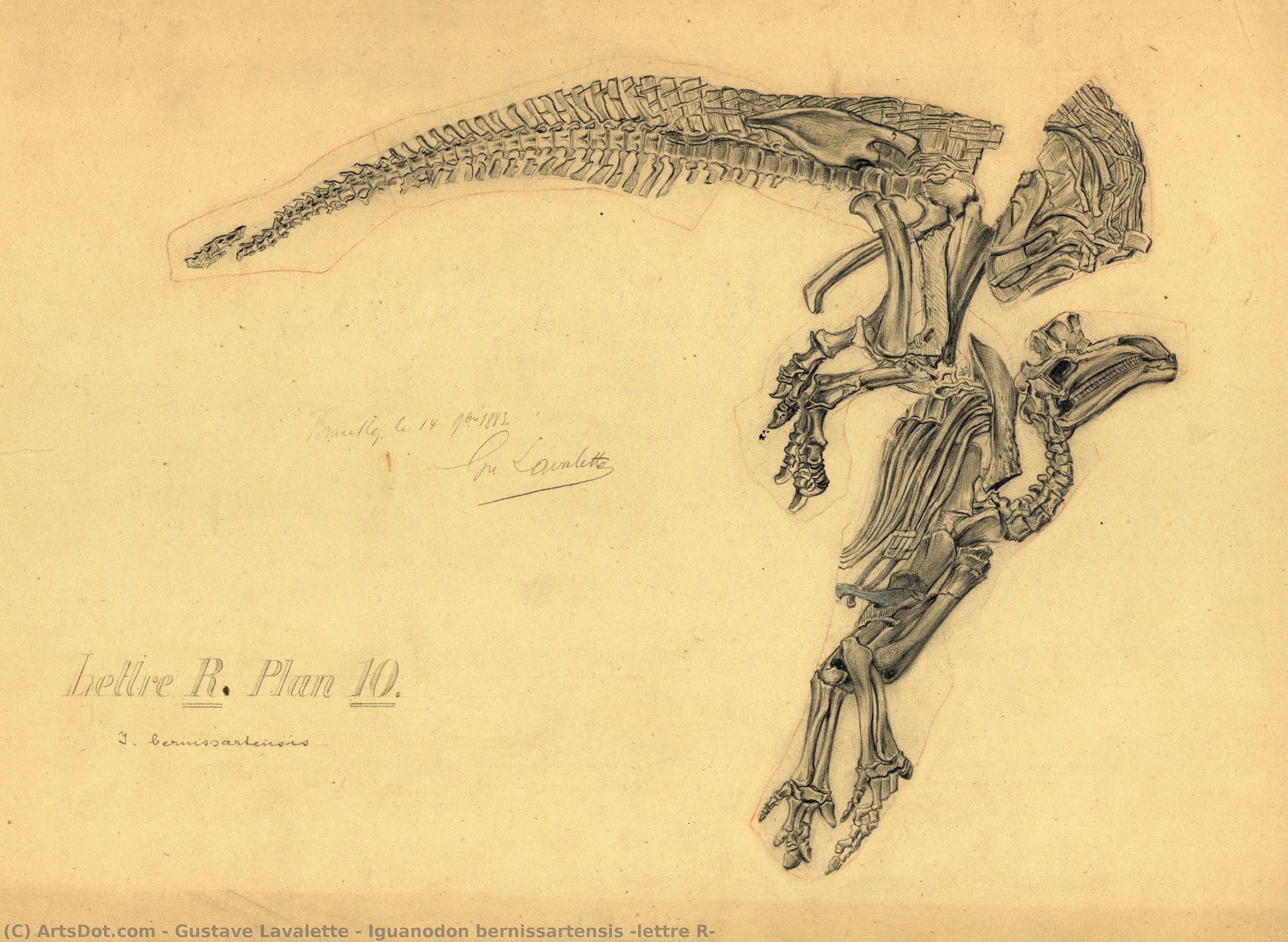 Iguanodon Bernissartensis “lettre R” — Gustave Lavalette