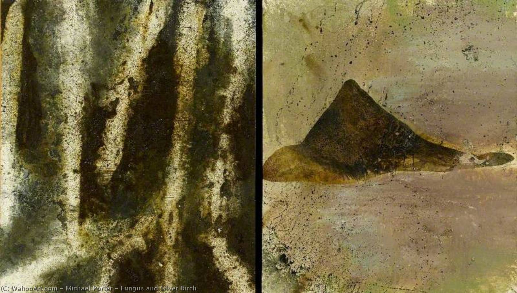 Fungus And Silver Birch — Michael Porter