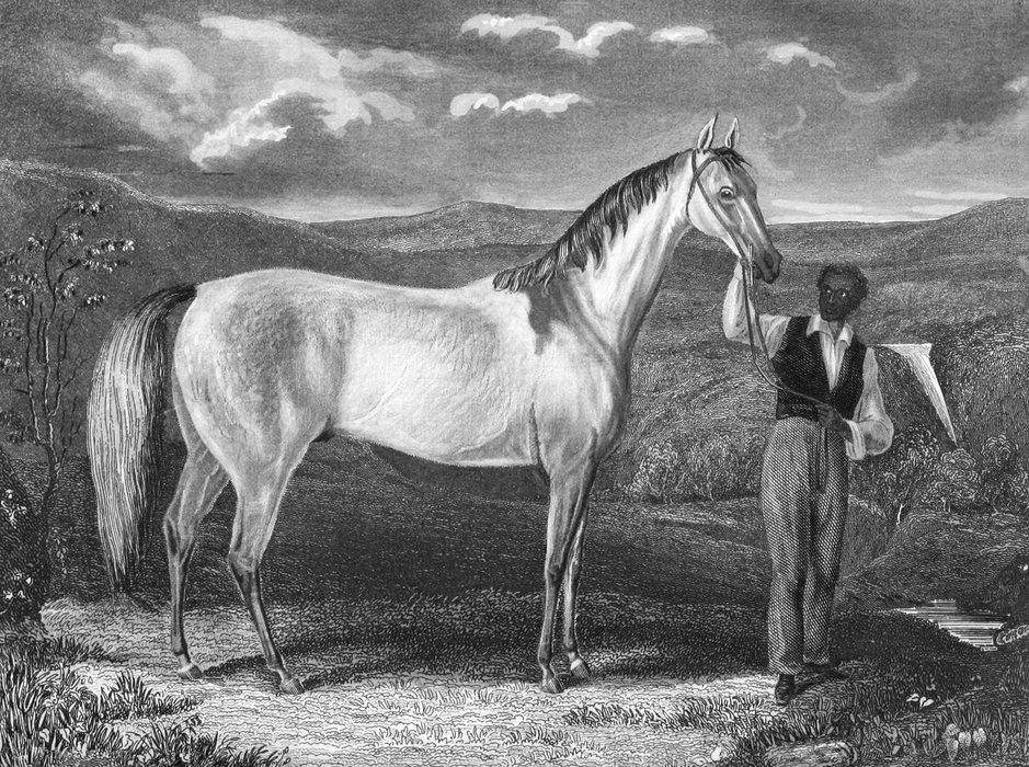 Grey Eagle And His Jockey Cato — Edward Troye
