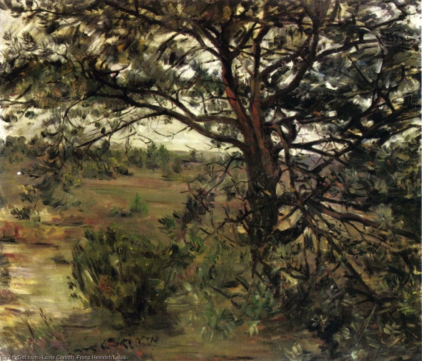 Luneberger Heide — Ловис Корнит