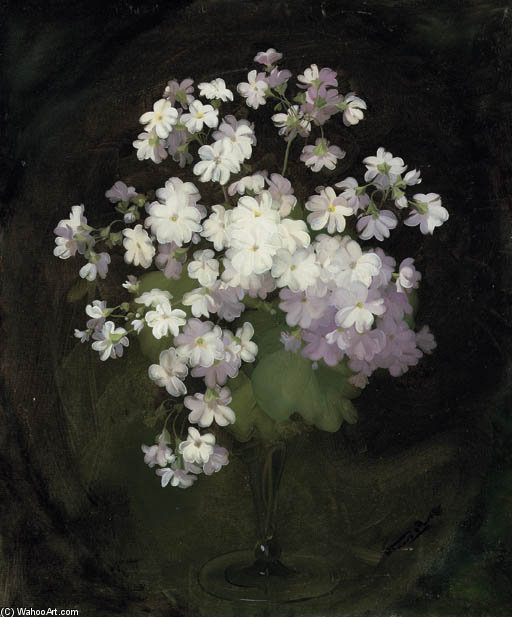 White Violas In A Vase — James Stuart Park