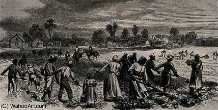 Labour In The Cotton Fields — Альфред Рудольф Вуд
