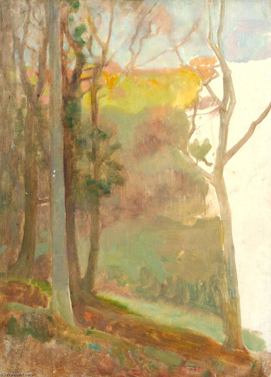 Sunlit Wood — Benjamin Haughton