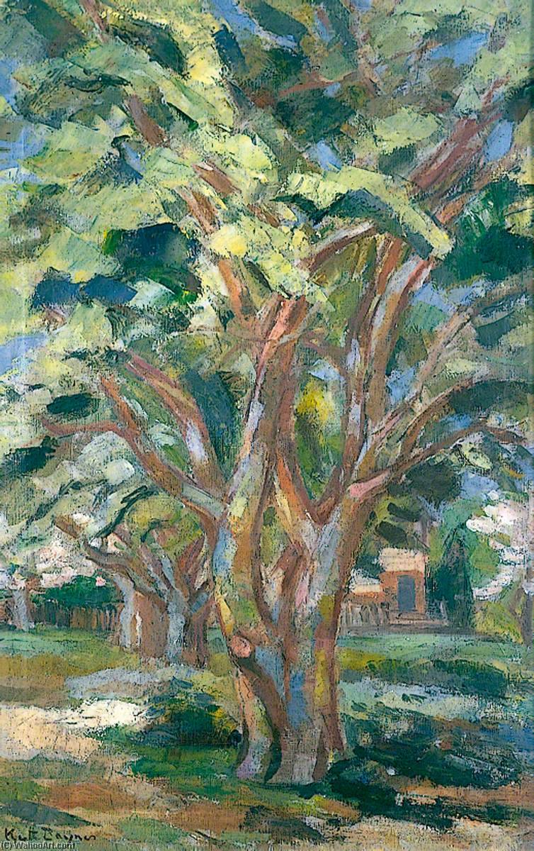 Avenue Of Trees — Keith Baynes