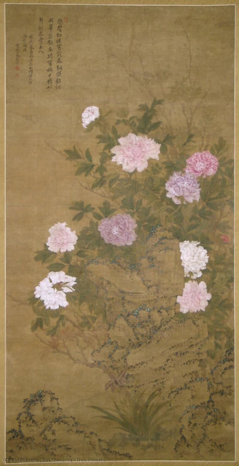 Tree Peonies — Yun Shouping
