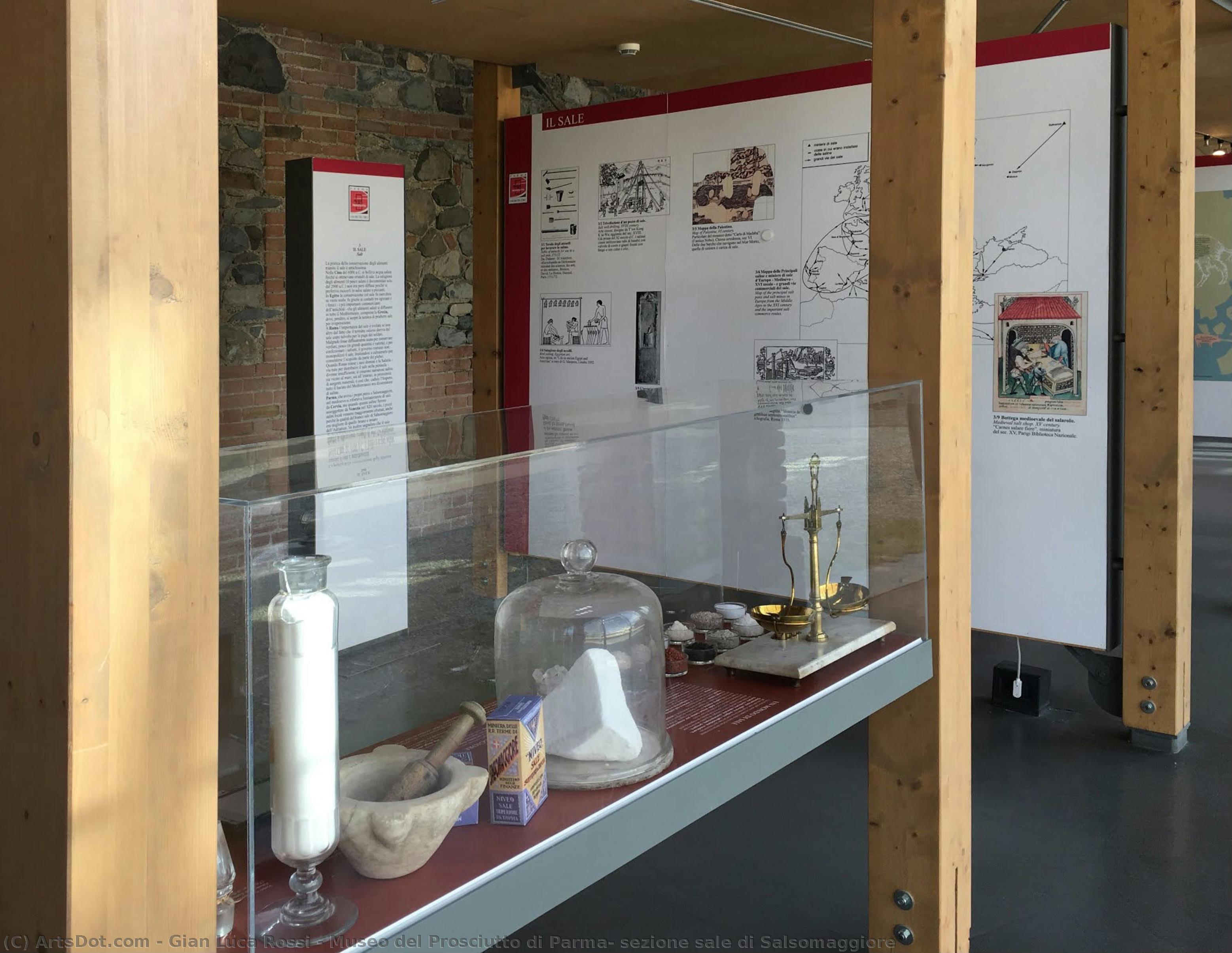 Museo Del Prosciutto Di Parma: Sezione Sale Di Salsomaggiore — Gian Luca Rossi