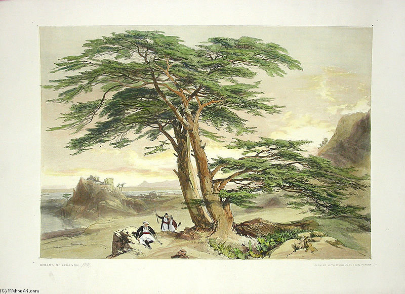 The Park And The Forest - — James Duffield Harding