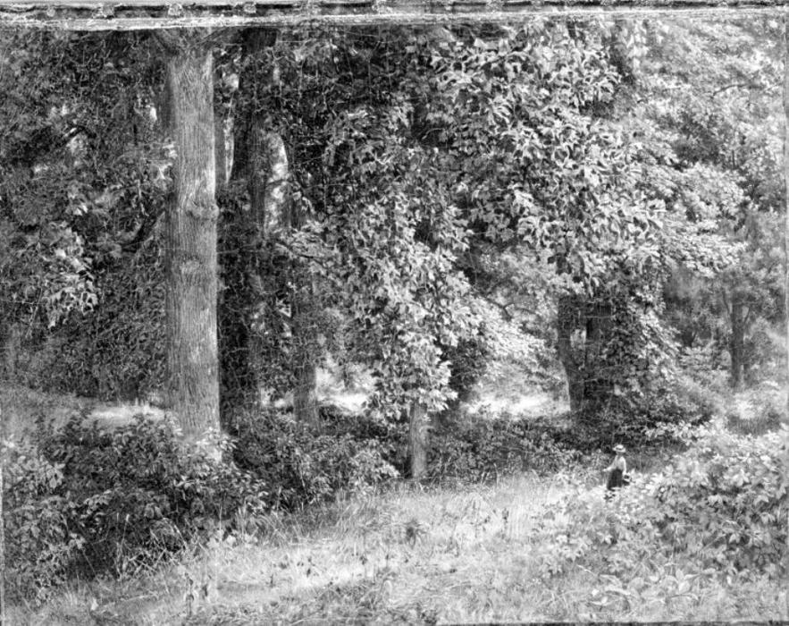Tulip Trees — Уильям Трост Ричардс