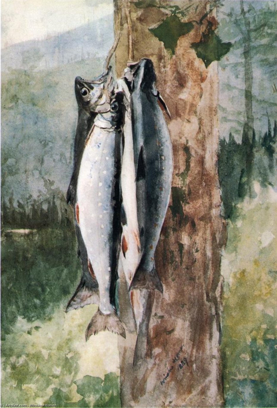 Adirondack Catch — ウィンズロー・ホマー